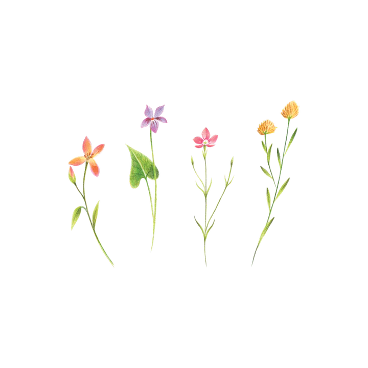 Tattly Temporary Tattoo - Set of 2
